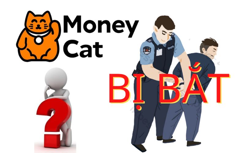 Thực hư thông tin Moneycat bị bắt
