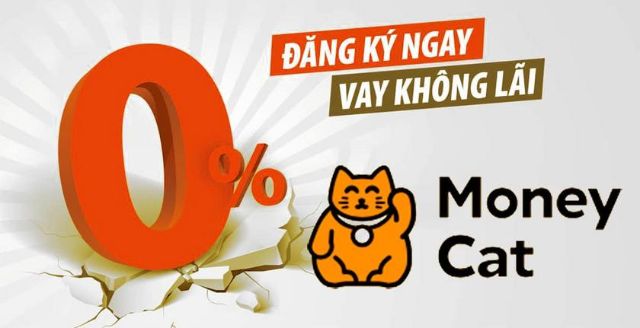 Thông tin tổng quan về khoản vay Moneycat
