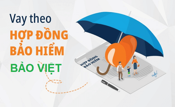 Các thủ tục cần chuẩn bị khi vay tiền bằng bảo hiểm nhân thọ Bảo Việt
