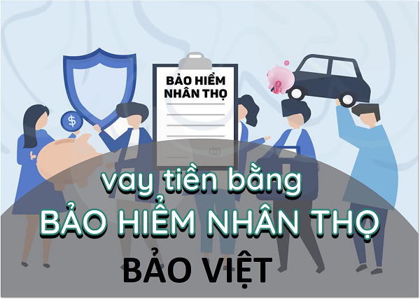 vay tiền bằng bảo hiểm nhân thọ Bảo Việt